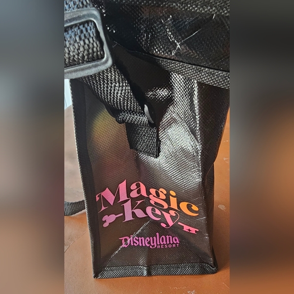 Disneyland Resort oogie boogie bash 2022 Halloween tote - Picture 6 of 8